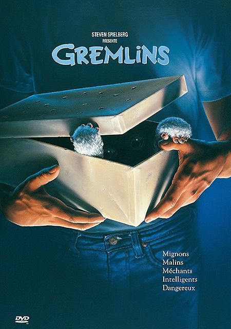 7321950113880 Gremlins FR DVD