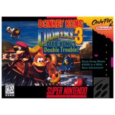 45496830557 Donkey Kong Country 3 FR SNES