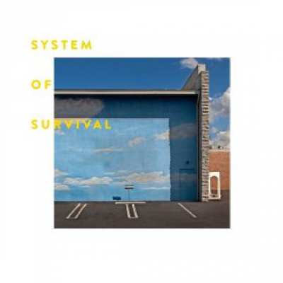 673790028877 System Of Survival - Needle And Thread CD