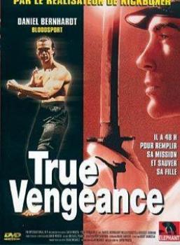 3348466670403 true vengeance FR DVD