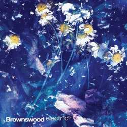 5060180321567 Brownswood electric CD