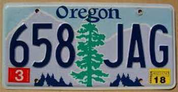 5510109390 Plaque Immatriculation Oregon (sapins)