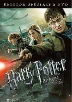 5510109490 Harry Potter Et Les Reliques De La Mort 2eme Partie FR DVD