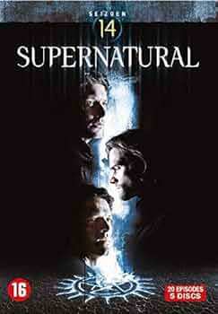 5510113409 supernatural saison 14 dvd fr