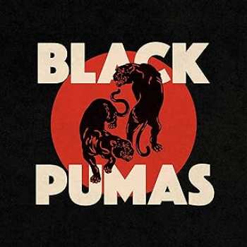 5400863011536 Black Pumas ( First Album)  Vinyl 33t