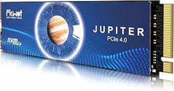 5510117143 SSD NVME M2 1TB Fikwot FX660 Jupiter